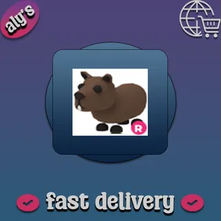 R Capybara