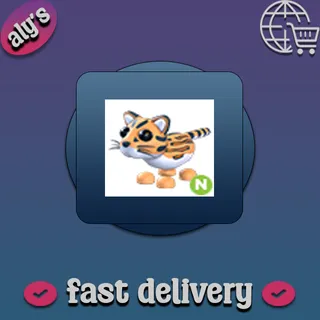 N Ocelot