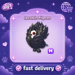M Jacobin Pigeon