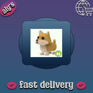 N Shiba Inu