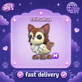 M Chihuahua