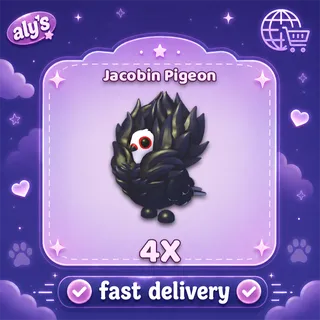 4x Jacobin Pigeon