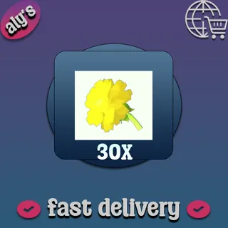 30x Golden Dandelion Treat