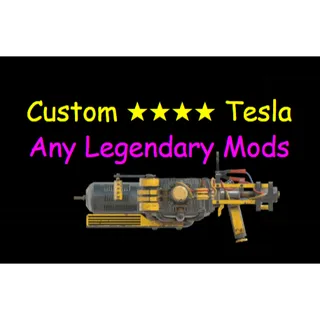 Custom Tesla
