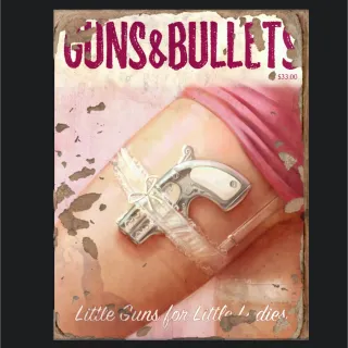 500 Guns and Bullets 3