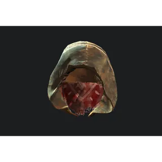 Hunter's hood