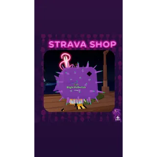 GIANT BLIGHT PUFFERFISH - FISCH