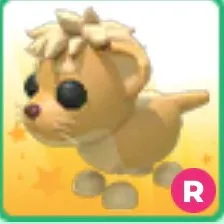 Lion Bundle