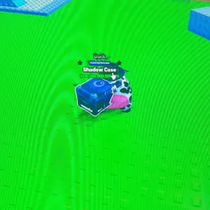 Shadow Case x2