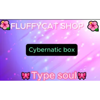 Type soul Cybernetic box