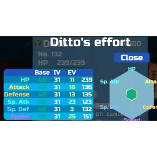 ditto perfect 6x31