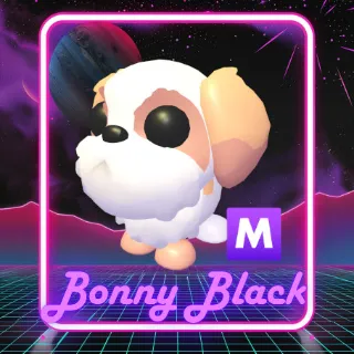 Shih Tzu Mega Neon