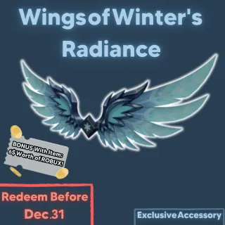 Wings of Winter's Radiance ❄️+ 6$ Account Balace!