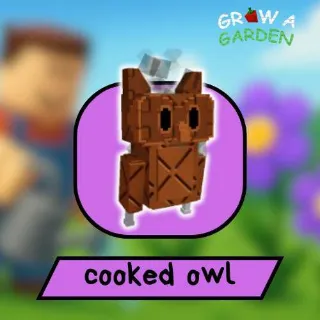 Cooked Owl