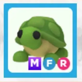 TURTLE MEGA FR