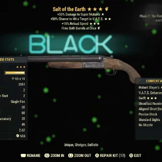 Salt Of The Earth