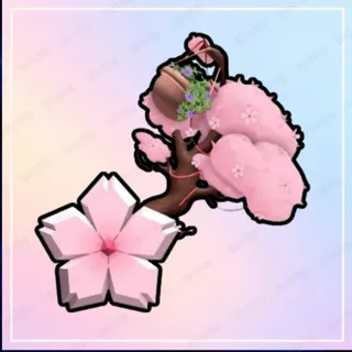Cherry Blossom Set - Flee The Facility (FTF)