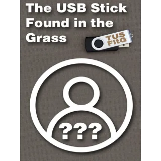 The USB Stick Found in the Grass (PC) STEAM GLOBAL KEY