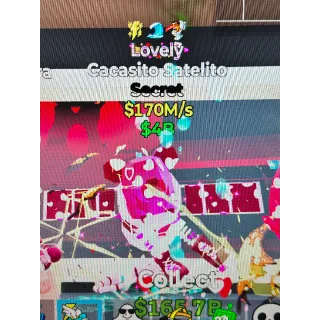 Triple traited cacasito satelito