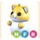 NFR Golden Hamster