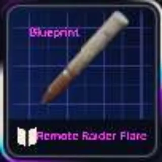 Remote Raider Blueprint
