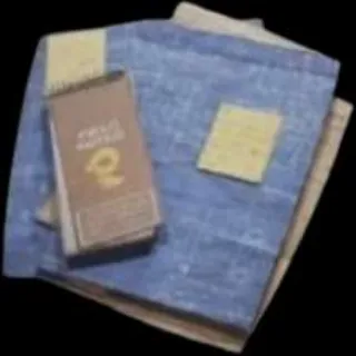 Remote Raider  Blueprint