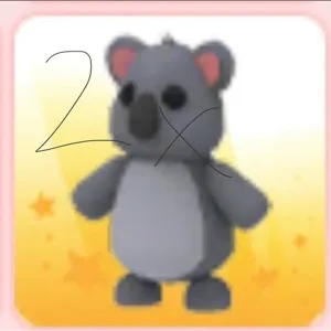 2X KOALA