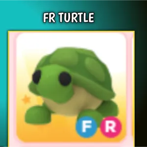 FR turtle