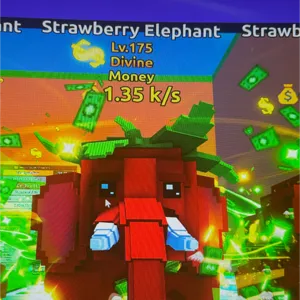 strawberry elephant