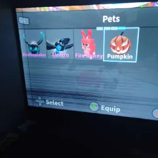 Pets - MURDER MYSTERY 2 - MM2