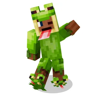 Minecraft Frog Hoodie