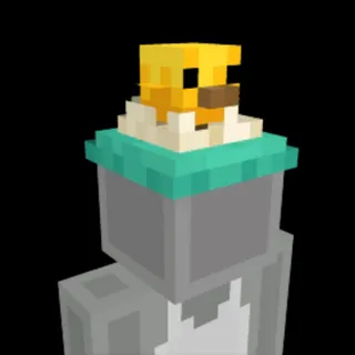 Minecraft Hatchling Hat