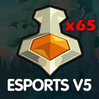 BRAWLHALLA ESPORTS V5 65X COLOR