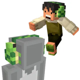 Minecraft Turtle Tunes
