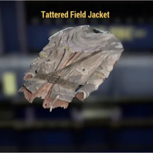 Tattered Field Jacket