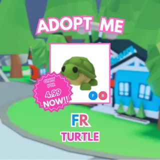 FR Turtle