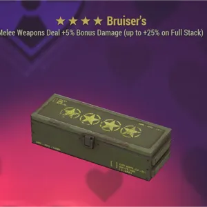 Bruiser Mod x5