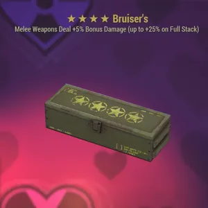 Bruisers x5 Mod Set