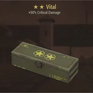 Vital Mod Box