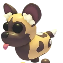 NFR AFRICAN WILD DOG