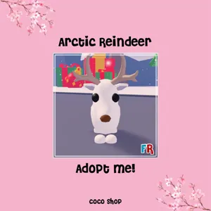 FR Arctic Reindeer