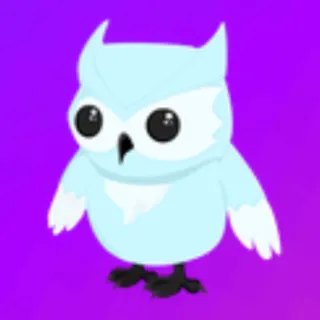 Snow Owl FR