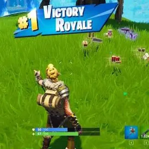 carry Win Fortnite