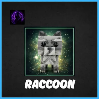 Raccoon