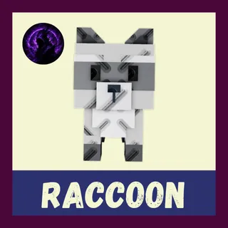 Raccoon