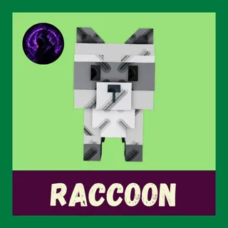 Raccoon