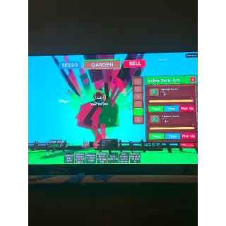 2 15 second nightmare titanic peacocks 