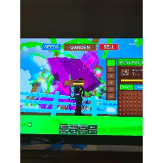 5 nightmare bald eagles 60+ kg