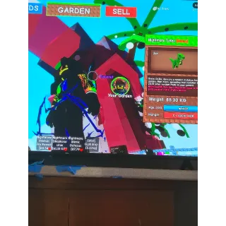 Nightmare trex 15 sec no toy