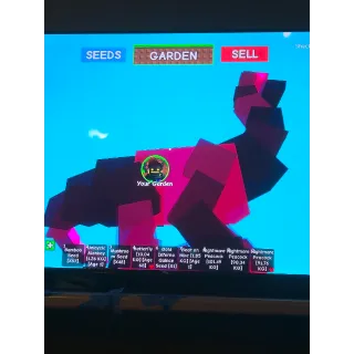 Eight nightmare brontosaurus's